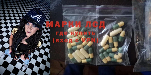 индика Покров