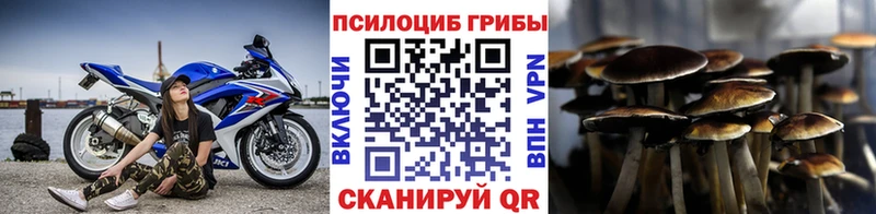 сколько стоит  Кувандык  Галлюциногенные грибы мухоморы 